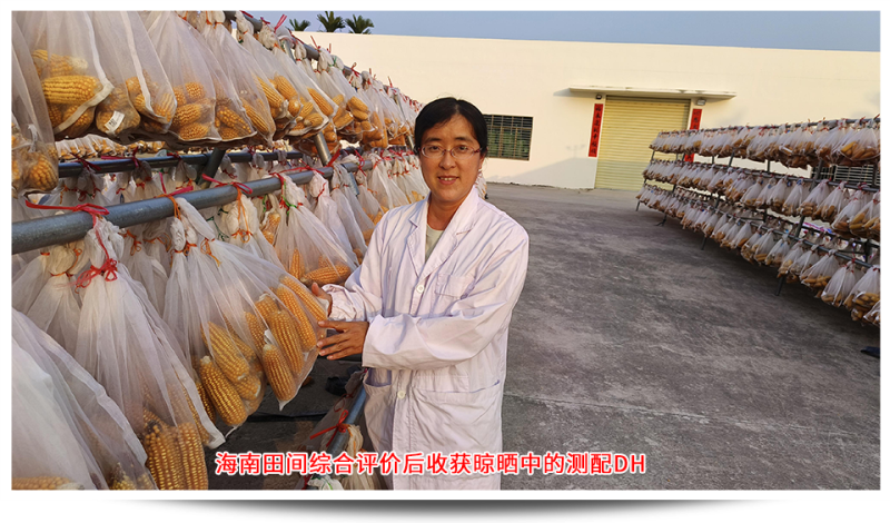 1689746941623829.png 圖片11.png