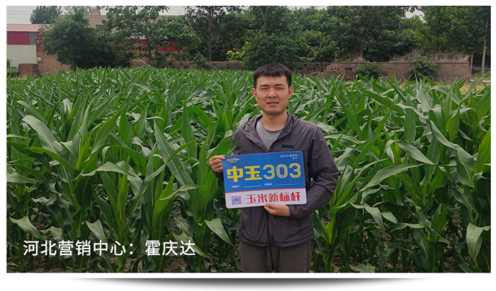 1747640565371270.png 圖片60.png